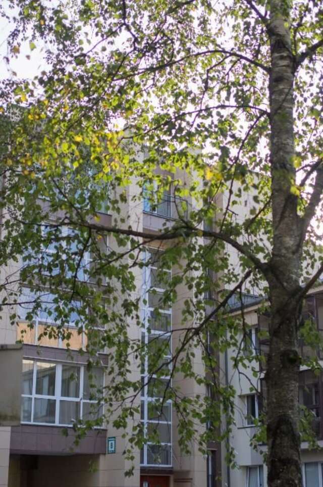 Апартаменты Honey apartment Друскининкай-53